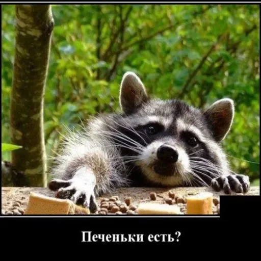 Sticker userpack96693_by_DuoSticker_bot - 1