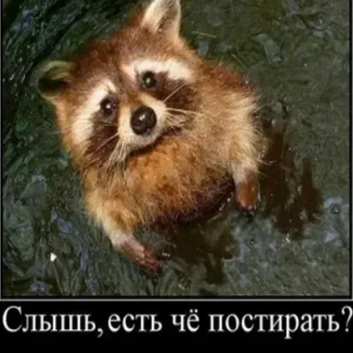 Sticker userpack96693_by_DuoSticker_bot - 1