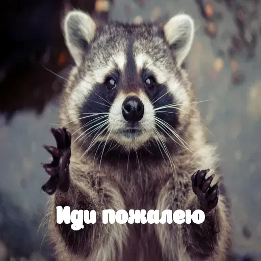 Sticker userpack96693_by_DuoSticker_bot - 1