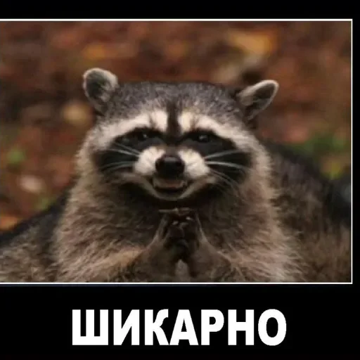 Sticker userpack96693_by_DuoSticker_bot - 1