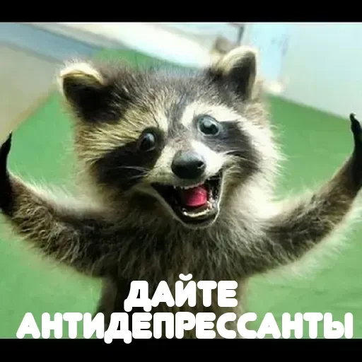 Sticker userpack96693_by_DuoSticker_bot - 1