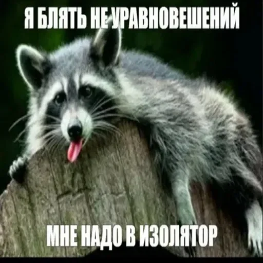 Стикер userpack96693_by_DuoSticker_bot - 1