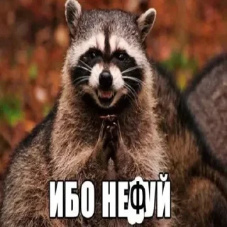 Sticker Енотик- Арнольдик 💋 by @DuoSticker_bot - 1