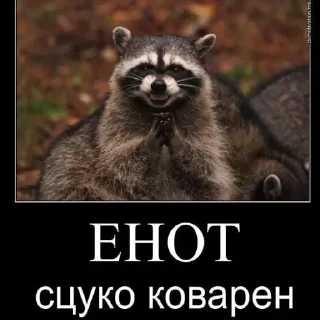 Sticker Енотик- Арнольдик 💋 by @DuoSticker_bot - 5