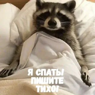 Sticker Енотик- Арнольдик 💋 by @DuoSticker_bot - 10