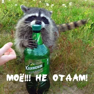 Sticker Енотик- Арнольдик 💋 by @DuoSticker_bot - 9