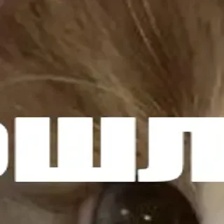 Sticker 🪄 Создано в @StickerDreamBot - 6