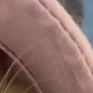 Sticker 🪄 Создано в @StickerDreamBot - 2