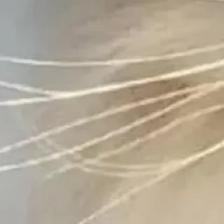 Sticker 🪄 Создано в @StickerDreamBot - 7