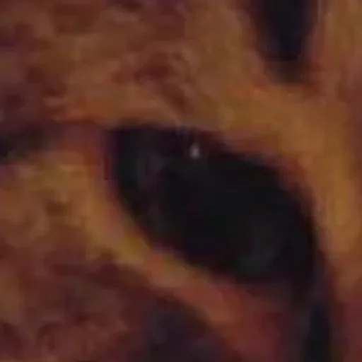 Sticker userpack_27964_by_StickerDreamBot - 1