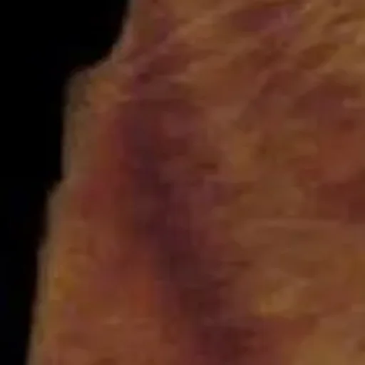 Sticker userpack_27964_by_StickerDreamBot - 1