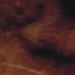 Стикер 🪄 Создано в @StickerDreamBot - 0