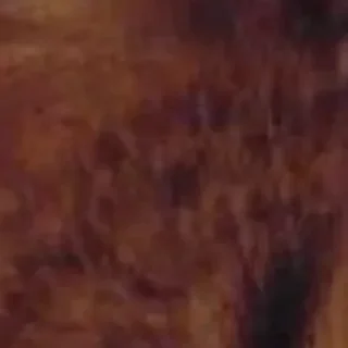 Стикер 🪄 Создано в @StickerDreamBot - 2