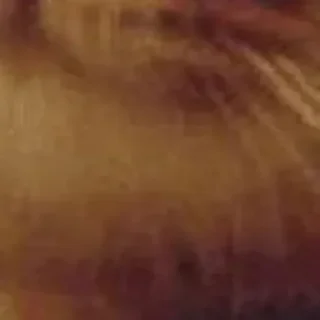 Стикер 🪄 Создано в @StickerDreamBot - 4