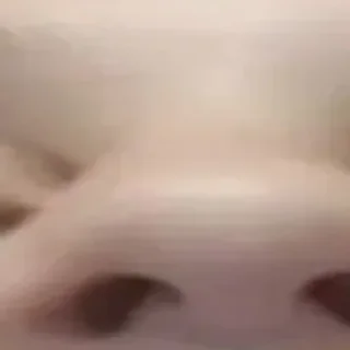 Sticker 🪄 Создано в @StickerDreamBot - 6