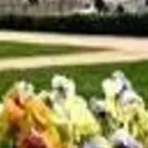 Стикер userpack_60718_by_StickerDreamBot - 1