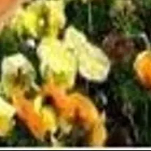 Стикер userpack_60718_by_StickerDreamBot - 1