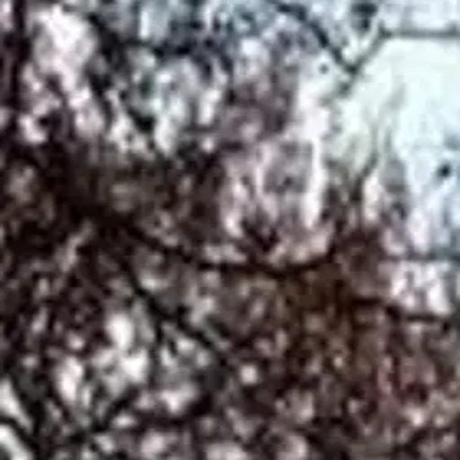 🪄 Создано в @StickerDreamBot - 