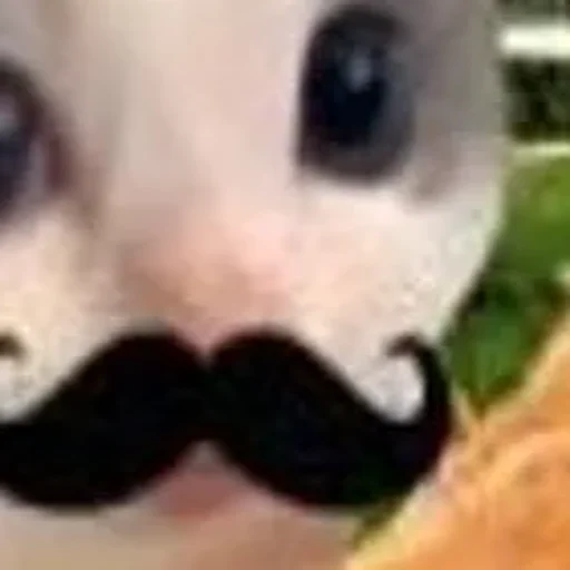 Стикер userpack_60718_by_StickerDreamBot - 1