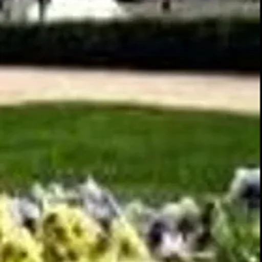 Sticker userpack_60718_by_StickerDreamBot - 1