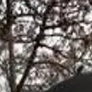 Стикер 🪄 Создано в @StickerDreamBot - 1