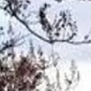 Стикер 🪄 Создано в @StickerDreamBot - 7