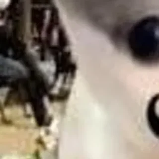 Стикер 🪄 Создано в @StickerDreamBot - 9