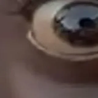 Стикер 🪄 Создано в @StickerDreamBot - 0