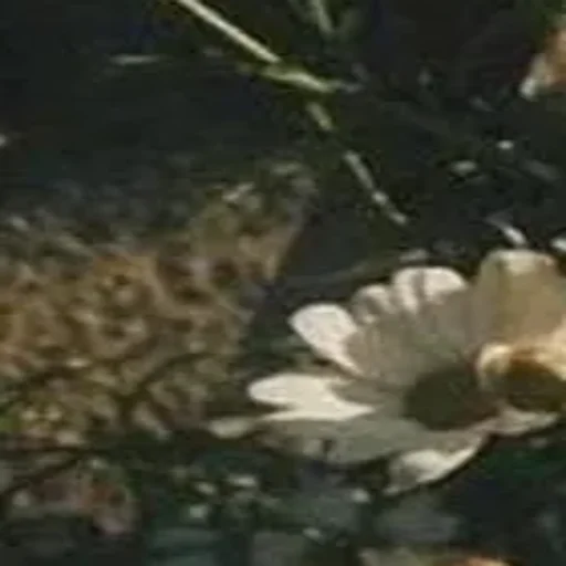 🪄 Создано в @Stickersneewbot - 