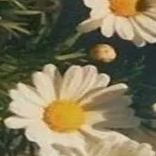 Sticker userpack_7540_by_Stickersneewbot - 1