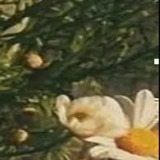 Sticker userpack_7540_by_Stickersneewbot - 1