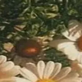 Sticker 🪄 Создано в @Stickersneewbot - 9