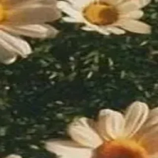 Sticker 🪄 Создано в @Stickersneewbot - 1