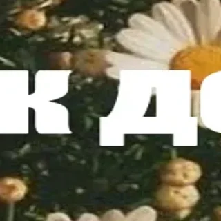 Sticker 🪄 Создано в @Stickersneewbot - 2