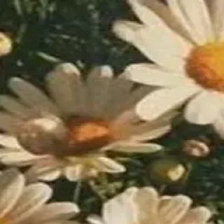 Sticker 🪄 Создано в @Stickersneewbot - 11