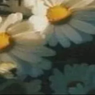 Sticker 🪄 Создано в @Stickersneewbot - 6