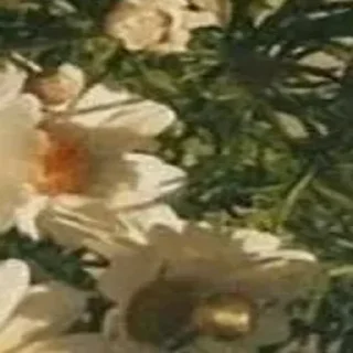 Sticker 🪄 Создано в @Stickersneewbot - 10