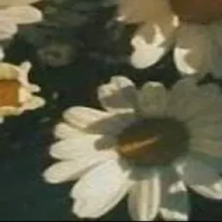 Sticker 🪄 Создано в @Stickersneewbot - 3