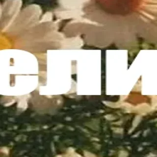 Sticker 🪄 Создано в @Stickersneewbot - 4