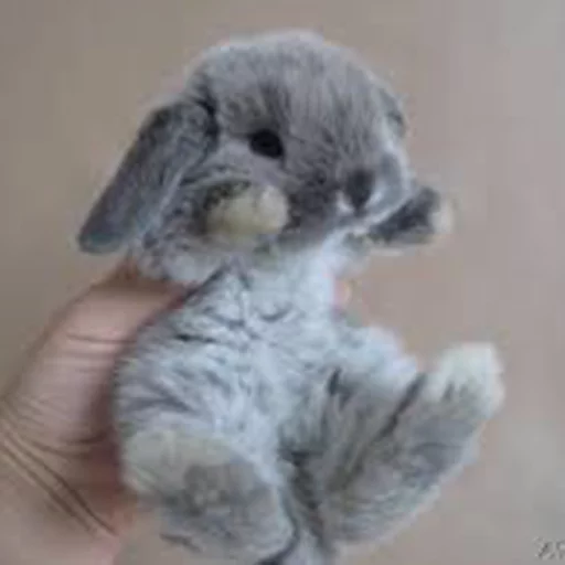 animal bunny mammal