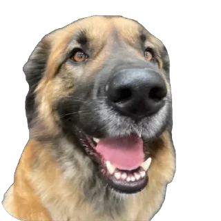 Стикер стикиры чата ускова и всех тех кого мы знаем - 8