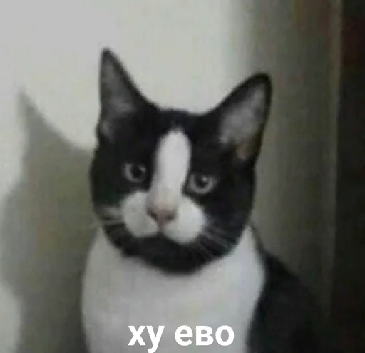 пепель by @Merfimor - 