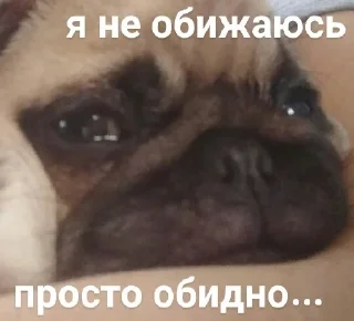 Sticker пепель by @Merfimor - 7