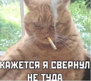 Sticker пепель by @Merfimor - 3