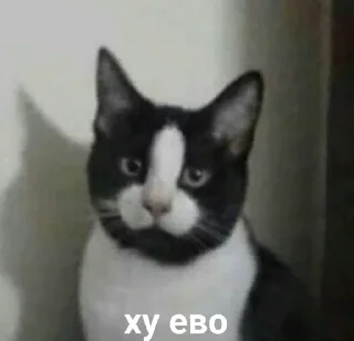 Sticker пепель by @Merfimor - 5