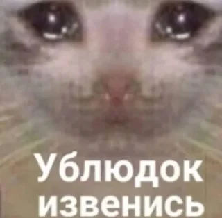 Sticker пепель by @Merfimor - 11