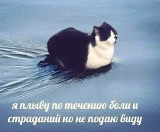 Sticker пепель by @Merfimor - 1