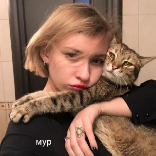 Стикер ustinia core - 0