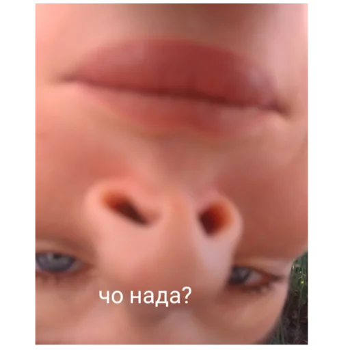 кожа Макросъемка щека