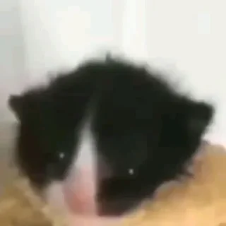 Sticker Больше стиков тут: @stikery4 - 6